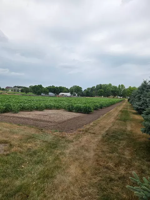 1164 3rd St S, Sartell, MN 56377