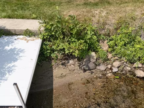 View/Area - 1444 Plummer Point Rd NE, Outing, MN 56662 photo 1 of 6