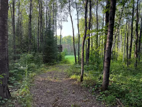 Nn County Rd 1, Emily, MN 56447