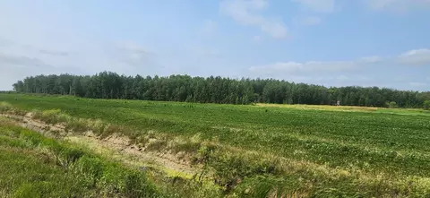 tbd 340th Ave NE, Goodridge, MN 56725