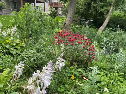 Exterior - 15595 Cherry Path, Rosemount, MN 55068 photo 15 of 15