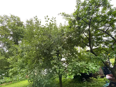 Exterior - 11381 Hubert Ln, Cold Spring, MN 56320 photo 15 of 16