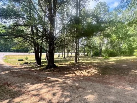 Exterior - 22034 County 2, Nevis, MN 56467 photo 24 of 24