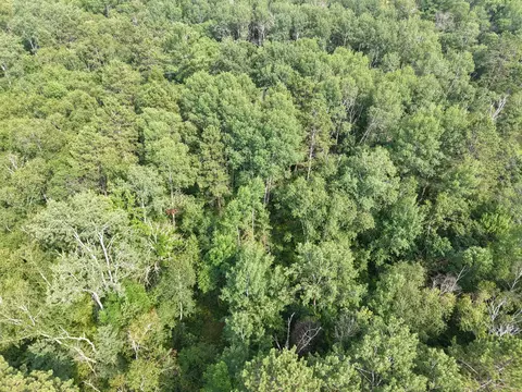 View/Area - 22034 County 2, Nevis, MN 56467 photo 3 of 4