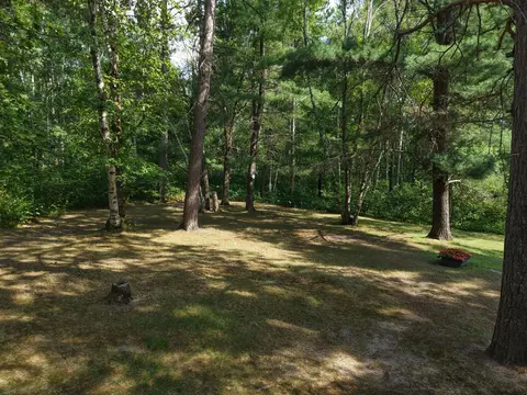 Exterior - 22034 County 2, Nevis, MN 56467 photo 8 of 24
