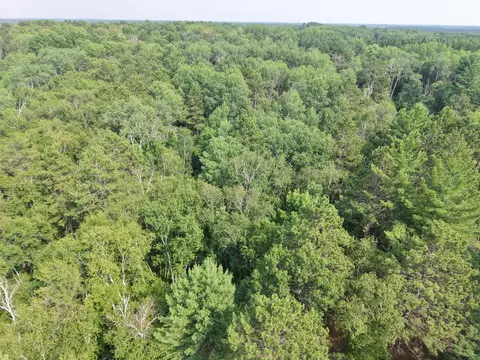 View/Area - 22034 County 2, Nevis, MN 56467 photo 2 of 4