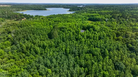 View/Area - 21169 Firefly Trl, Akeley, MN 56433 photo 6 of 8