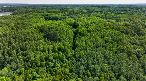 View/Area - 21169 Firefly Trl, Akeley, MN 56433 photo 5 of 8