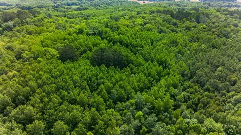 Other - 21169 Firefly Trl, Akeley, MN 56433 photo 11 of 11