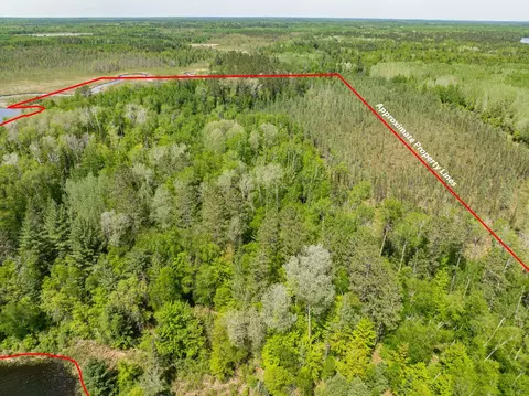 29588 County Road 52, Bigfork, MN 56628 photo 44