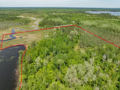29588 County Road 52, Bigfork, MN 56628 photo 39