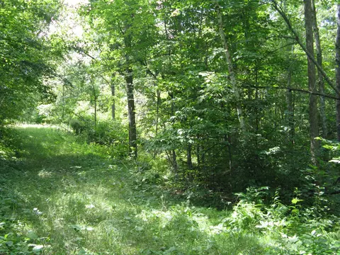 tbd Alpine Cir, Breezy Point, MN 56472 photo 3