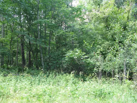 tbd Alpine Cir, Breezy Point, MN 56472 photo 8
