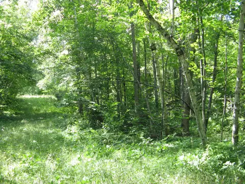 tbd Alpine Cir, Breezy Point, MN 56472 photo 2