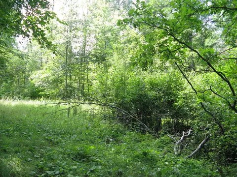 tbd Alpine Cir, Breezy Point, MN 56472 photo 5