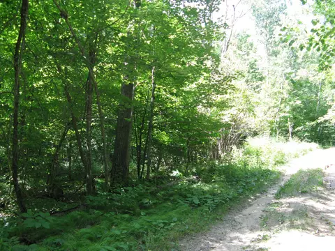 tbd Alpine Cir, Breezy Point, MN 56472 photo 11