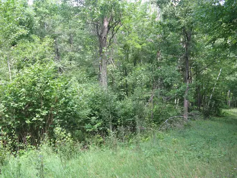 tbd Alpine Cir, Breezy Point, MN 56472 photo 10