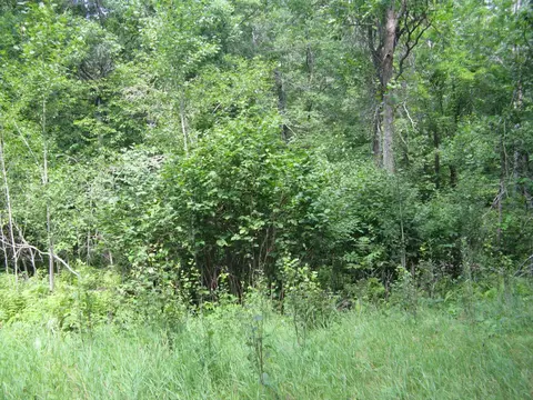 tbd Alpine Cir, Breezy Point, MN 56472 photo 9