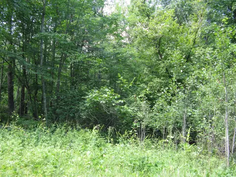tbd Alpine Cir, Breezy Point, MN 56472 photo 7