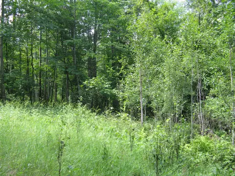 tbd Alpine Cir, Breezy Point, MN 56472 photo 6