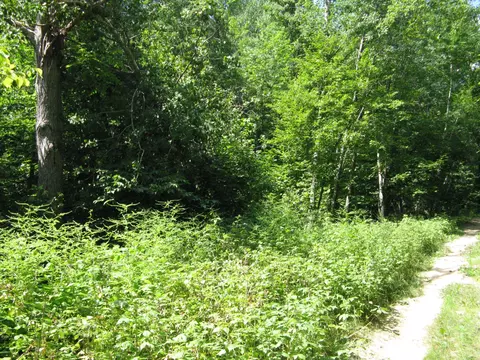 tbd Alpine Cir, Breezy Point, MN 56472 photo 12