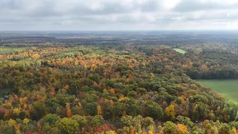 tbd Skyview St, Brook Park, MN 55007
