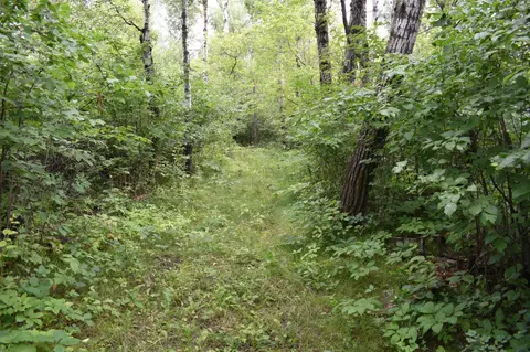 103 Rd 103rd St NE, Walhalla, ND 58282 photo 21