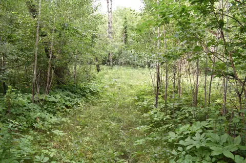 103 Rd 103rd St NE, Walhalla, ND 58282 photo 22
