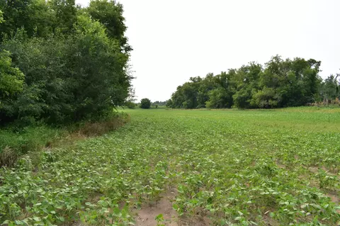 103 Rd 103rd St NE, Walhalla, ND 58282 photo 10