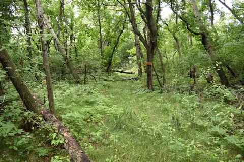 103 Rd 103rd St NE, Walhalla, ND 58282 photo 12