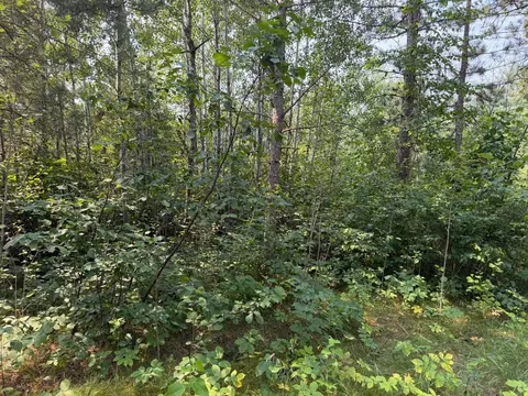 tbd Cottingham Dr, Staples, MN 56479 photo 27