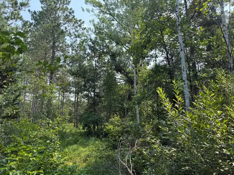 tbd Cottingham Dr, Staples, MN 56479 photo 32