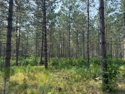 tbd Cottingham Dr, Staples, MN 56479 photo 21
