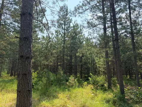 tbd Cottingham Dr, Staples, MN 56479 photo 23