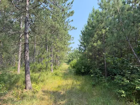 tbd Cottingham Dr, Staples, MN 56479 photo 35