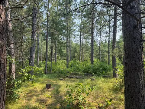 tbd Cottingham Dr, Staples, MN 56479 photo 30