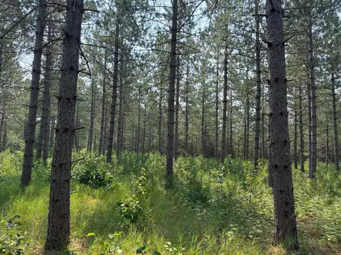 tbd Cottingham Dr, Staples, MN 56479 photo 22
