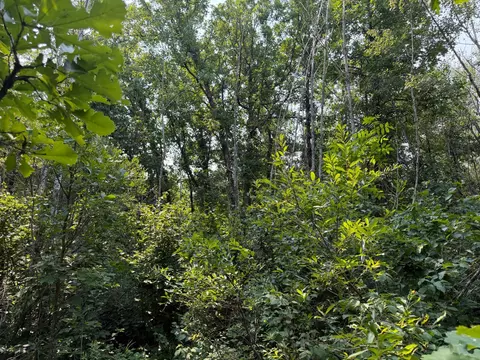 tbd Cottingham Dr, Staples, MN 56479 photo 31