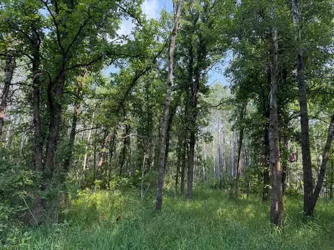 tbd Cottingham Dr, Staples, MN 56479 photo 38