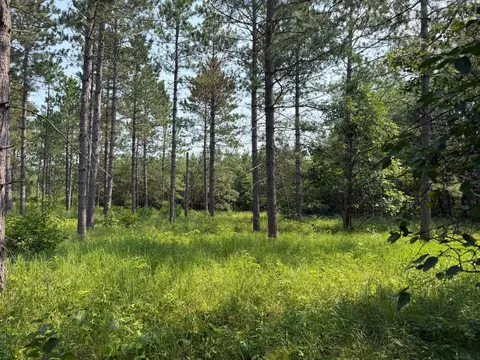tbd Cottingham Dr, Staples, MN 56479 photo 33
