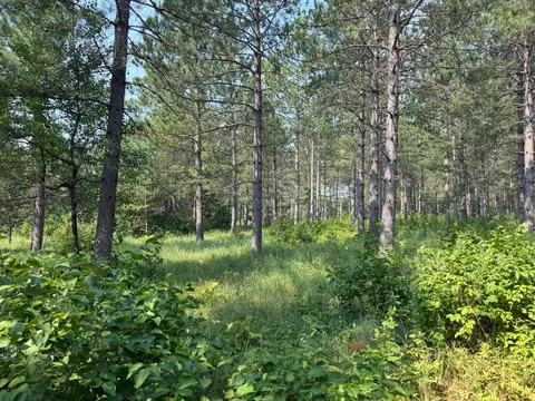 tbd Cottingham Dr, Staples, MN 56479 photo 24
