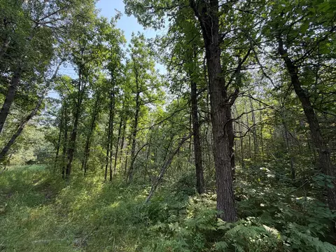 tbd Cottingham Dr, Staples, MN 56479 photo 39