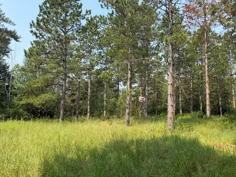 tbd Cottingham Dr, Staples, MN 56479 photo 26