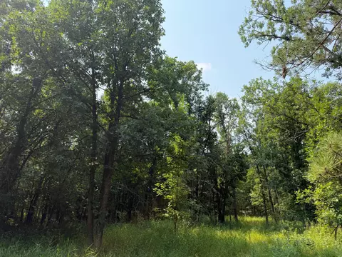 tbd Cottingham Dr, Staples, MN 56479 photo 34