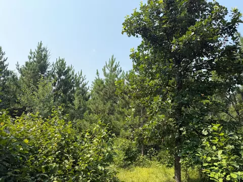 tbd Cottingham Dr, Staples, MN 56479 photo 28