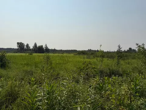 tbd Co Rd 7, Staples, MN 56479 photo 36