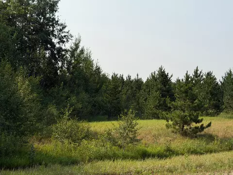 tbd Co Rd 7, Staples, MN 56479 photo 31