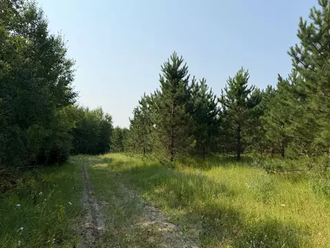 tbd Co Rd 7, Staples, MN 56479 photo 47