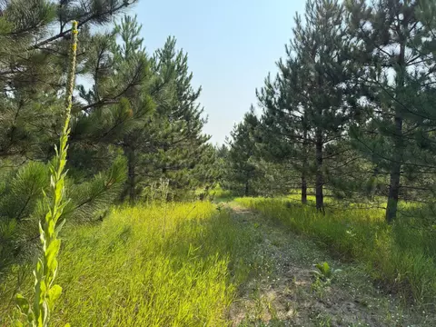 tbd Co Rd 7, Staples, MN 56479 photo 40