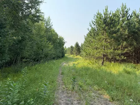 tbd Co Rd 7, Staples, MN 56479 photo 46